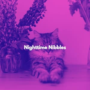 Nighttime Nibbles - Soothing Cat Music
