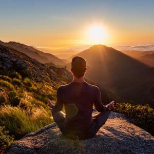 Orquesta Sinfónica De Meditación: Melodías Equilibradas - Elliot Braun