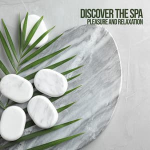 Discover the Spa World - Pleasure and Relaxation: Relaxed Atmosphere, Calm Oriental Meditation Sounds - Zen Serenity Spa Asian Music Relaxation