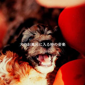犬のお風呂に入る時の音楽 - Coffee House Jazz