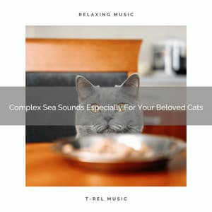 Complex Sea Sounds Especially For Your Beloved Cats - Pets Relax