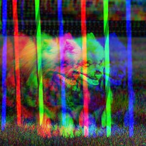 Feelings for Doggy Afternoon Rest - Relaxing Music for Dogs