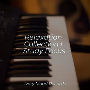 Relaxation Collection | Study Focus - Ivory Mood