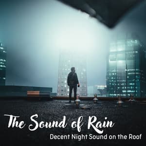 The Sound of Rain: Decent Night Sound on the Roof - Rain Hard