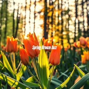 Spring Breeze Jazz - Jazz Relax Lounge
