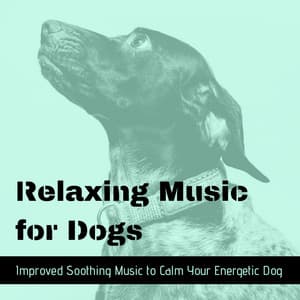Relaxing Music for Dogs - Improved Soothing Music to Calm Your Energetic Dog - Relax for Life