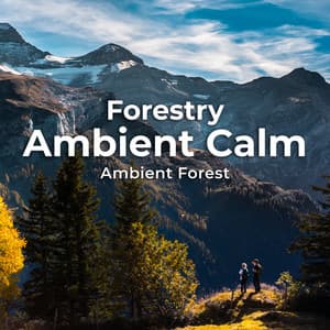 Forestry Ambient Calm - Ambient Forest