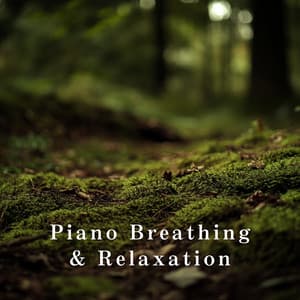 Piano Breathing & Relaxation - Relaxing BGM Project