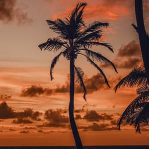 50 Meditative Waters: Emit - Seascapers