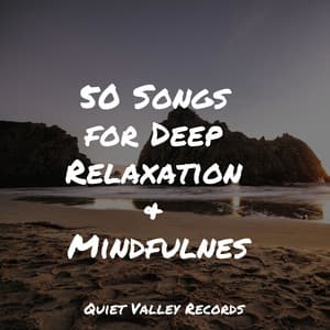 50 Songs for Deep Relaxation & Mindfulness - Sounds of Nature White Noise Sound Effects