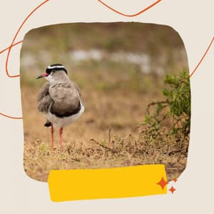 Personal Wellness - Music for Focus Vibes