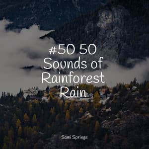 #50 50 Sounds of Rainforest Rain - Nature's Symphony