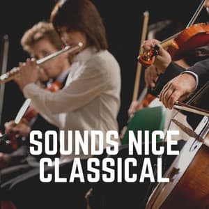 Sounds Nice Classical - Classical Chillout