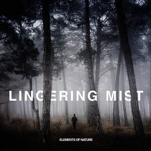 Lingering Mist - Elements of Nature