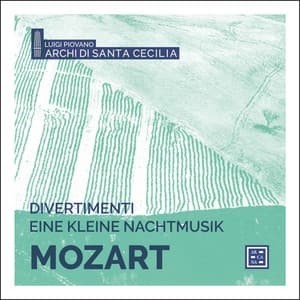 Mozart: Divertimenti & Eine kleine Nachtmusik - Wolfgang Amadeus Mozart