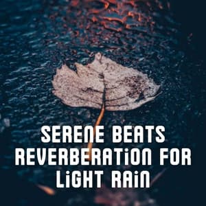 Serene Beats Reverberation for Light Rain - Rain Mood