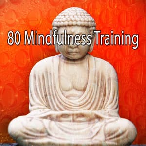 80 Mindfulness Training - Asian Zen Spa Music Meditation