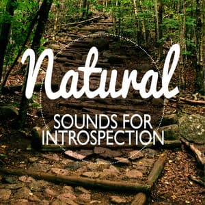 Nature Sounds for Introspection - Exam Study Nature Music Nature Sounds