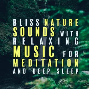 Bliss Nature Sounds with Relaxing Music for Meditation and Deep Sleep - Abundant Nature Zen