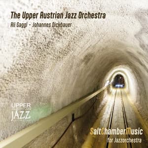 Saltchambermusic for Jazzorchestra - The Upper Austrian Jazz Orchestra