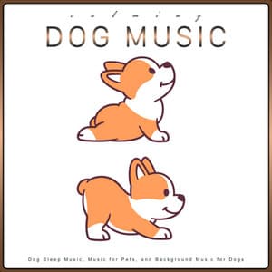 Calming Dog Music: Dog Sleep Music, Music for Pets, and Background Music for Dogs - Calming Music for Dogs
