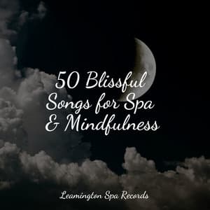 50 Blissful Songs for Spa & Mindfulness - Rain Spa
