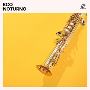 Eco Noturno: Playlist Jazz Relaxante - Jazz Relaxante Música de Oasis