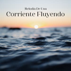Melodía De Una Corriente Fluyendo - Paisaje sonoro de agua goteando