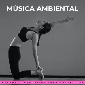 Música Ambiental: Mañanas Tranquilas Para Hacer Yoga - Reiki definitivo