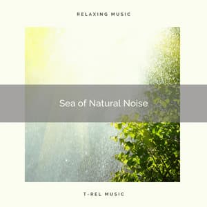 1 Sea of Natural Noise - The Noise Project