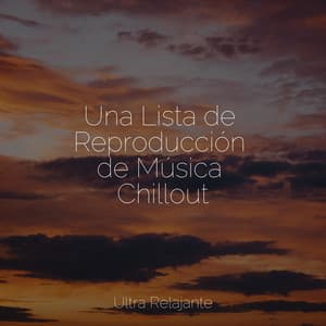 Una Lista de Reproducción de Música Chillout - Música Relajante para Perros
