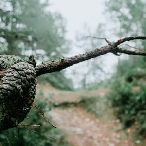 Ultimate Relaxation - Yoga with Zen Reiki Sounds Stress Relief Music - Deep Sleep