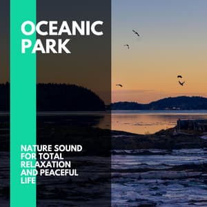 Oceanic Park - Nature Sound for Total Relaxation and Peaceful Life - Incredible Oceans