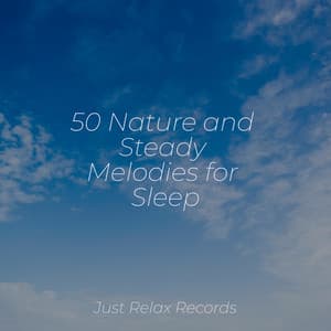 50 Nature and Steady Melodies for Sleep - Reiki Music