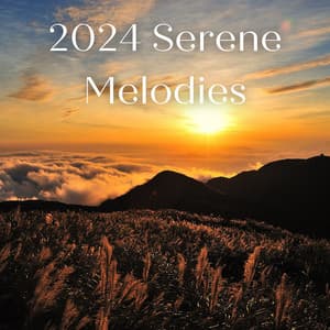 2024 Serene Melodies for Yoga and Meditation - Soothing Tunes - Nebula of Dreams