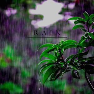 R A I N - Deep Rain Sampling