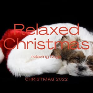 A Relaxed Christmas - Dog Sleep Dreams