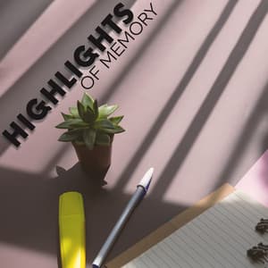 Highlights of Memory - Brain Study Music Guys