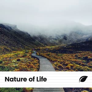 Nature of Life - Weather and Nature Recordings