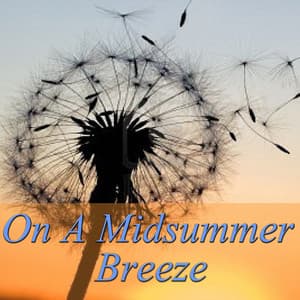 On A Midsummer Breeze - Feng Shui
