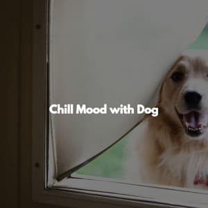 Chill Mood with Dog - Israel Goldberg Quintet