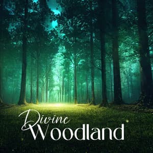 Divine Woodland: Healing Rhythms of the Nature - Hang Drum Pro