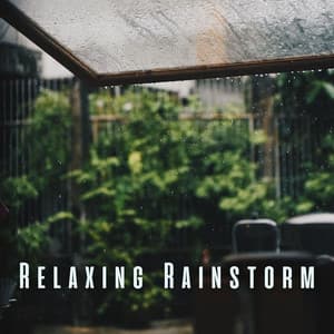 Relaxing Rainstorm: Spa Journey with Rain and Binaural Sounds - Rain Sounds FX