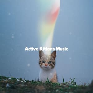 Active Kittens Music - Musique pour Travailler