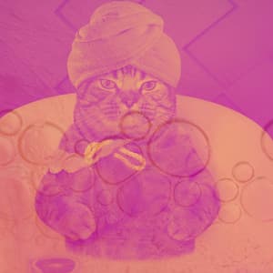 Brilliant Background for Grumpy Cats - Cat Music Studio