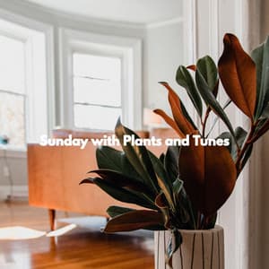 Sunday with Plants and Tunes - Brunch Jazz Playlist