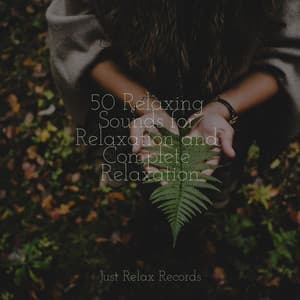 50 Relaxing Sounds for Relaxation and Complete Relaxation - Yoga Namaste