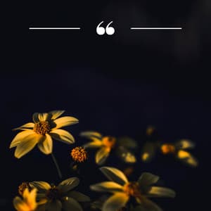 Music for Yoga and Healing: Soulful Waves - Healing Tones For You