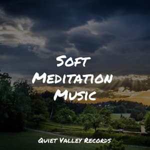 Soft Meditation Music - Unforgettable Paradise SPA Music Academy