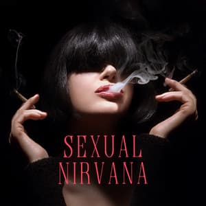 Sexual Nirvana: Music for Tantra Practitioners - Tantric Music Masters